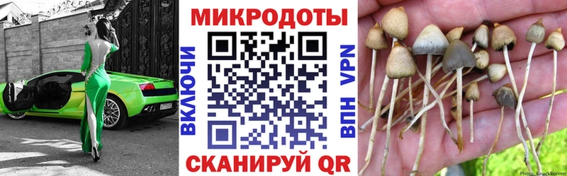 Галлюциногенные грибы ЛСД  Сенгилей 